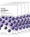 real-nature-mask-sheet-blueberry.2017_master